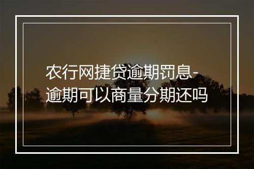 农行网捷贷逾期罚息-逾期可以商量分期还吗