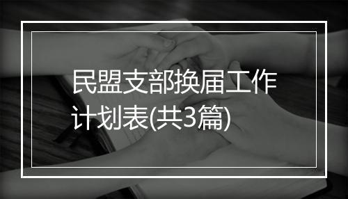 民盟支部换届工作计划表(共3篇)