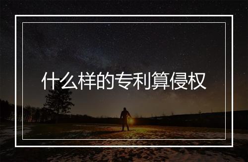 什么样的专利算侵权
