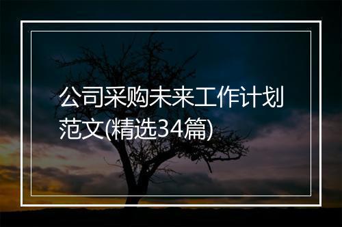 公司采购未来工作计划范文(精选34篇)