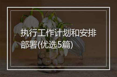 执行工作计划和安排部署(优选5篇)