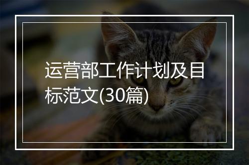 运营部工作计划及目标范文(30篇)