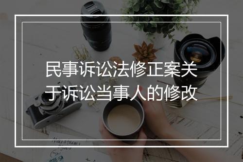 民事诉讼法修正案关于诉讼当事人的修改
