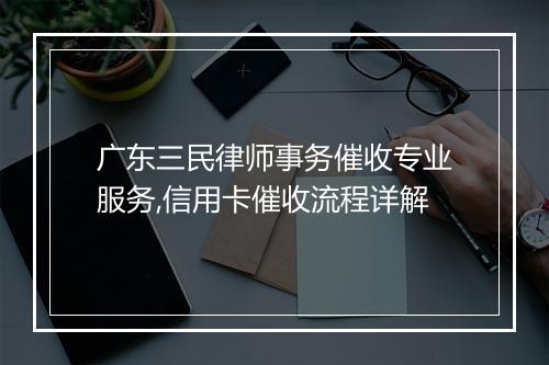 广东三民律师事务催收专业服务,信用卡催收流程详解