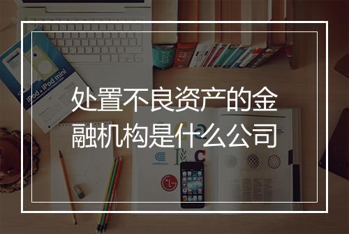 处置不良资产的金融机构是什么公司