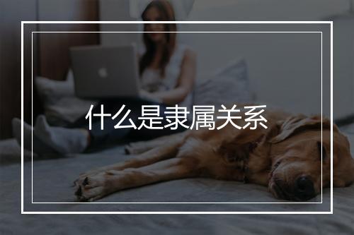 什么是隶属关系