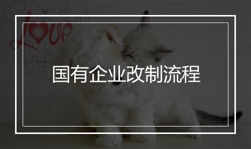 国有企业改制流程
