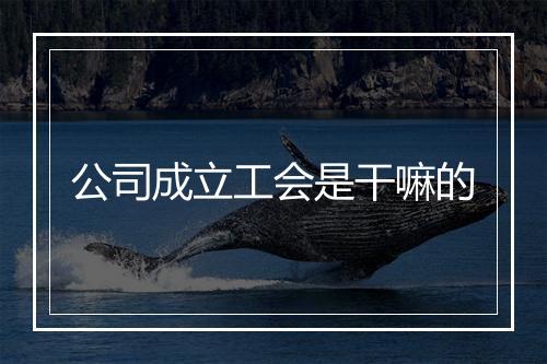 公司成立工会是干嘛的