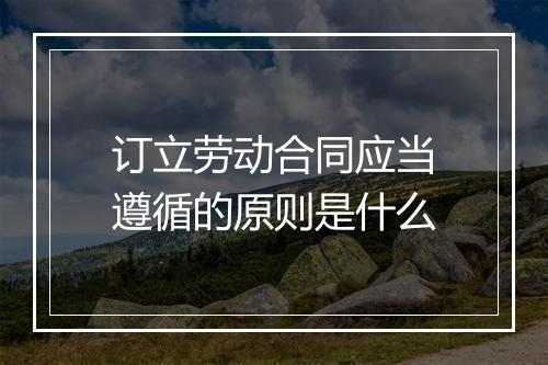 订立劳动合同应当遵循的原则是什么