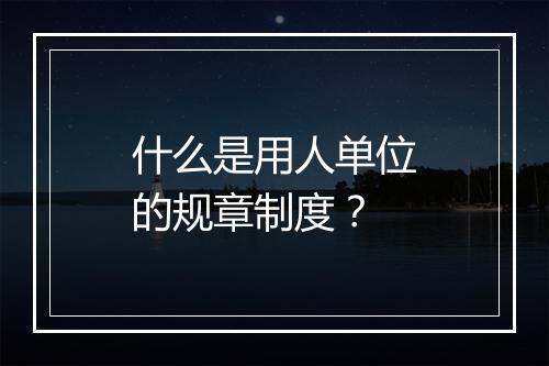 什么是用人单位的规章制度？