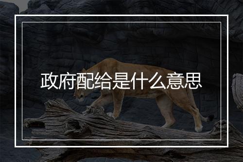 政府配给是什么意思