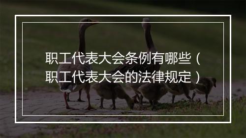 职工代表大会条例有哪些（职工代表大会的法律规定）