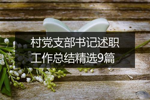 村党支部书记述职工作总结精选9篇