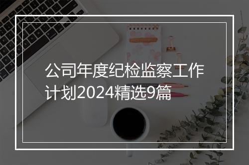 公司年度纪检监察工作计划2024精选9篇