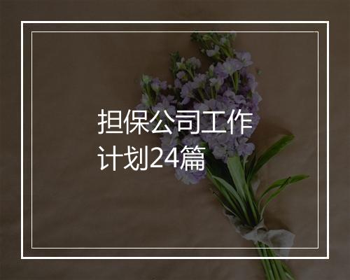 担保公司工作计划24篇
