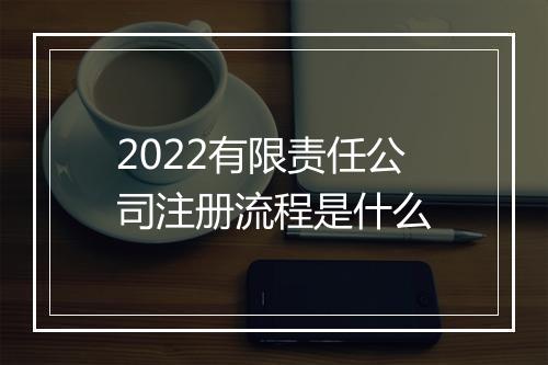 2022有限责任公司注册流程是什么