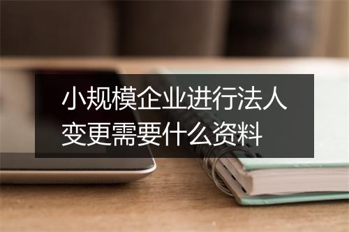 小规模企业进行法人变更需要什么资料
