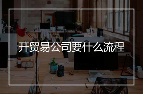 开贸易公司要什么流程