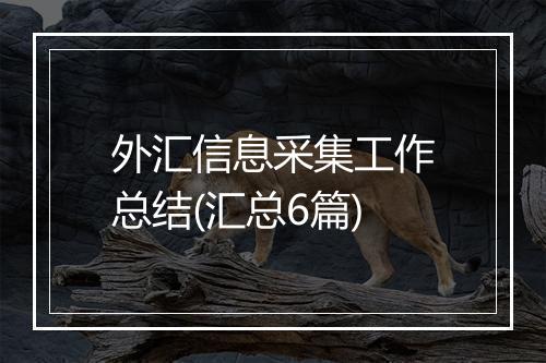 外汇信息采集工作总结(汇总6篇)