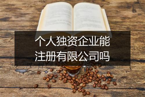 个人独资企业能注册有限公司吗