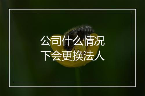 公司什么情况下会更换法人