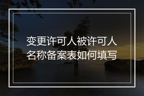 变更许可人被许可人名称备案表如何填写