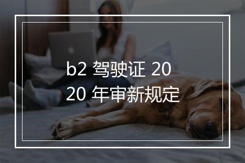 b2 驾驶证 2020 年审新规定