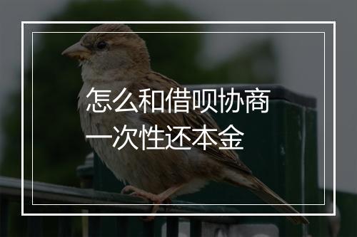 怎么和借呗协商一次性还本金