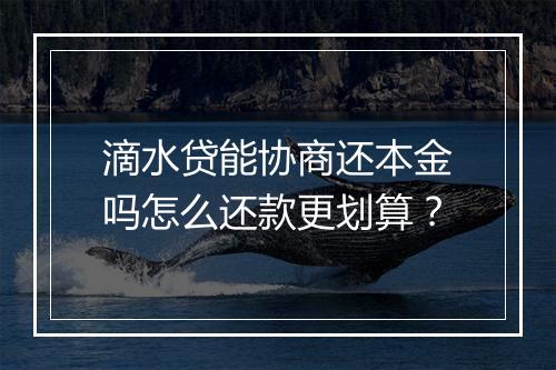 滴水贷能协商还本金吗怎么还款更划算？