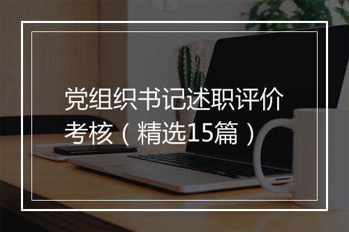 党组织书记述职评价考核（精选15篇）