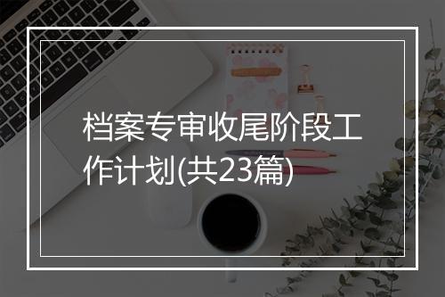 档案专审收尾阶段工作计划(共23篇)