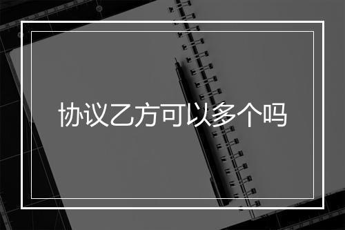 协议乙方可以多个吗