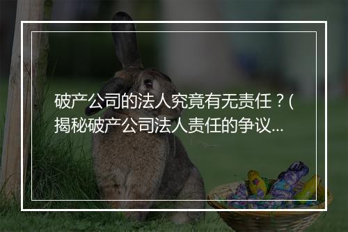破产公司的法人究竟有无责任？(揭秘破产公司法人责任的争议)