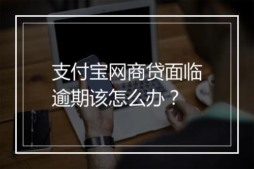 支付宝网商贷面临逾期该怎么办？