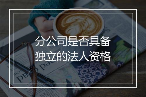 分公司是否具备独立的法人资格