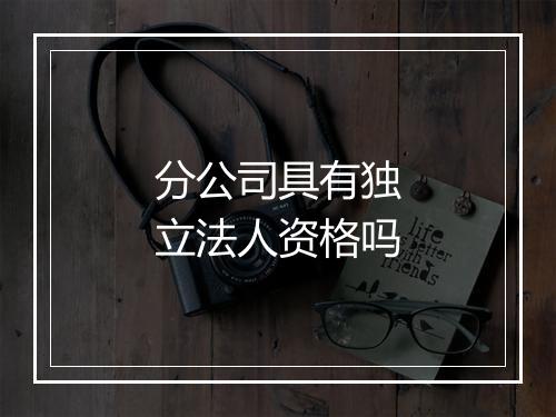 分公司具有独立法人资格吗