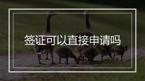 签证可以直接申请吗