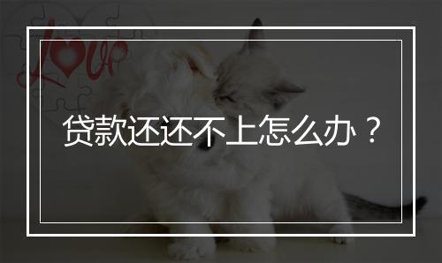 贷款还还不上怎么办？