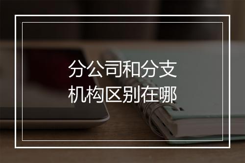 分公司和分支机构区别在哪