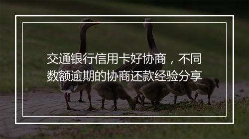 交通银行信用卡好协商，不同数额逾期的协商还款经验分享