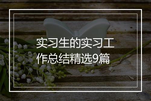 实习生的实习工作总结精选9篇