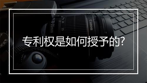 专利权是如何授予的?