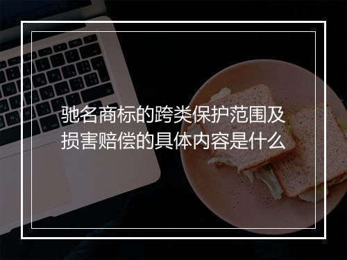 驰名商标的跨类保护范围及损害赔偿的具体内容是什么