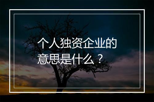 个人独资企业的意思是什么？