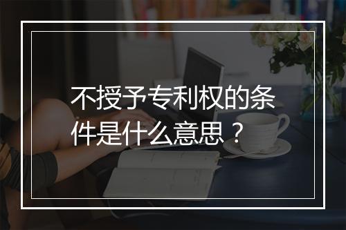 不授予专利权的条件是什么意思？