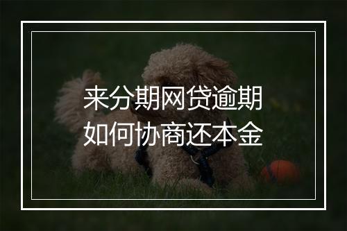 来分期网贷逾期如何协商还本金