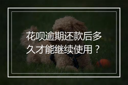 花呗逾期还款后多久才能继续使用？