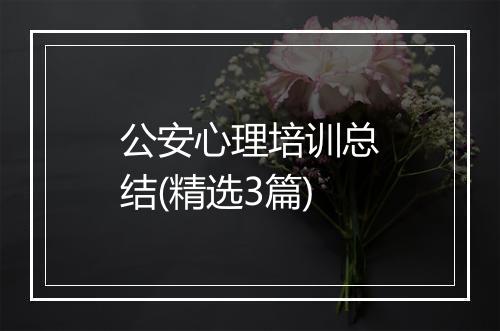 公安心理培训总结(精选3篇)