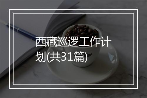 西藏巡逻工作计划(共31篇)