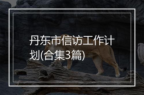 丹东市信访工作计划(合集3篇)